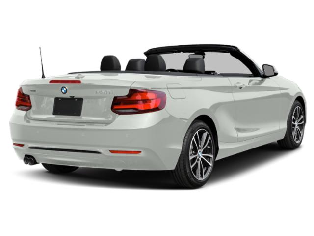 bmw 2 series 2020 WBA2K1C02L7E42908 image bmw 2 series 2020 WBA2K1C02L7E42908 image